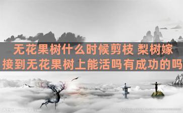 无花果树什么时候剪枝 梨树嫁接到无花果树上能活吗有成功的吗